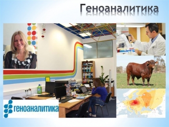 Развитие агропромышленного комплекса в России